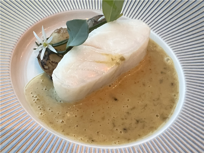 turbot